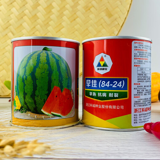 Changgong 8424 Rock Sugar Kirin Watermelon Seed Sweet King High Yield Kirin Lazy Man Seedless Giant Watermelon Four Seasons Fruit Seed Zaojia 8424 Watermelon 50g canned