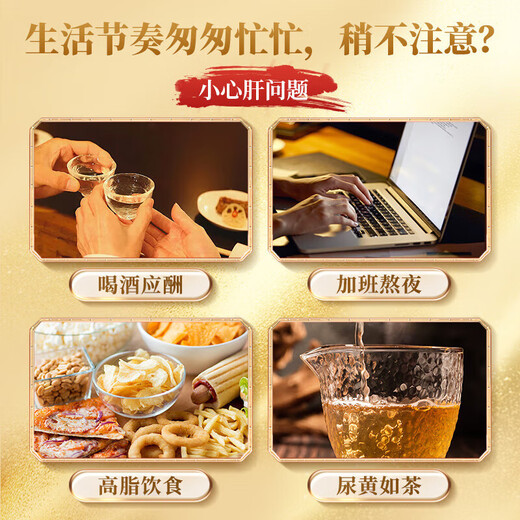 Piijing Tongrentang Bear Bile Powder 0,3 * 7 bouteilles de Gold Galdder Grade authentique 100% Gol