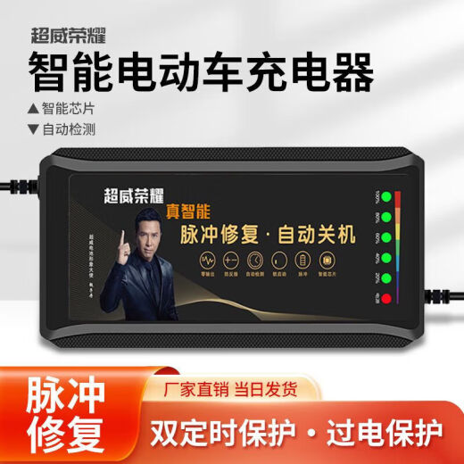 桐汝壁电池电动车充电器486072铅酸石墨烯显示电量-自动断 高端4840-45Ah 2米长线