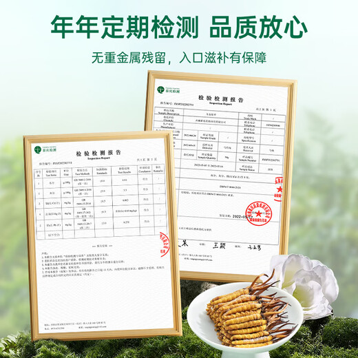 
Purple and blue flowers sea [first 25 years] Fresh Cordyceps sinensis 1.2 grams/20 fresh Cordyceps sinensis straight from the source