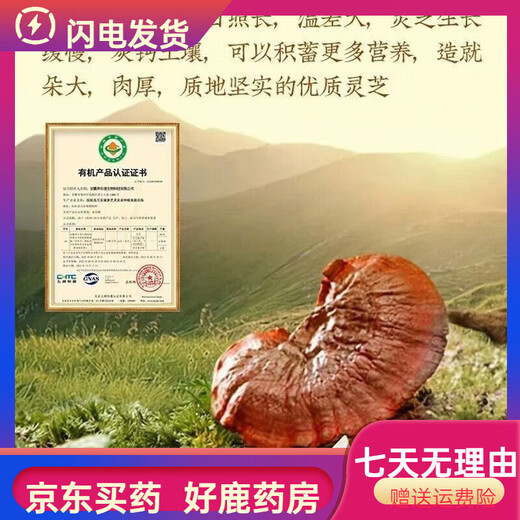 
Directly sold in Tongrentang Pharmacy in Beijing, Broken Wall Ganoderma lucidum spore powder, Organic certified high-content spore powder, Send to elders, 8 boxes