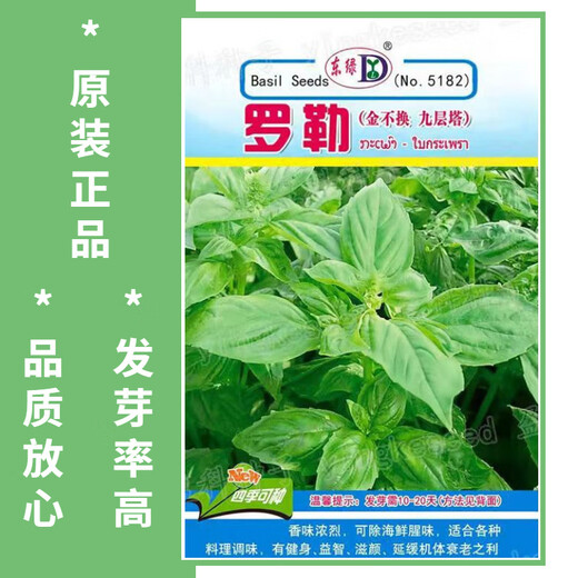 Basil seeds green stem nine-story tower planted lemon sweet basil balcony courtyard planting edible green basil seeds nine-story tower 100 capsules + fertilizer