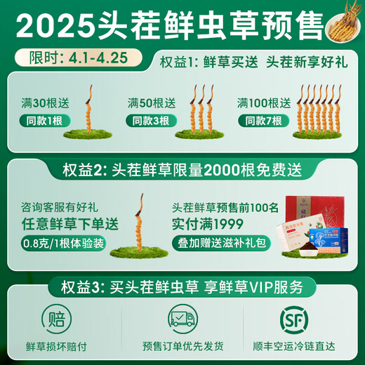 紫蓝花海新鲜冬虫夏草头茬鲜虫草自用送礼佳品礼盒装 0.7-0.8克/根 100根