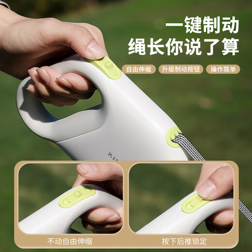 DSRAWMYT dog leash, dog leash, cat leash, small and medium-sized dog Teddy Corgi pet supplies