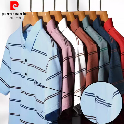 皮尔卡丹（pierre cardin）品牌冰丝条纹短袖T恤男士中青年休闲百搭时尚上衣免烫抗皱半袖体 9909哈青 L 170 建议105-120斤