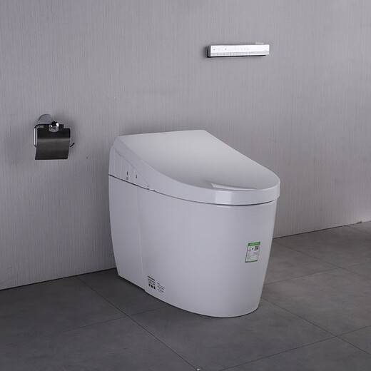 TOTO2025 intelligenter Toilettensitz CES9575CES9788CES9614CES9433CES9898CES9878 CES9787WCSTOTO After-Sales-Paket Installation 305 mm