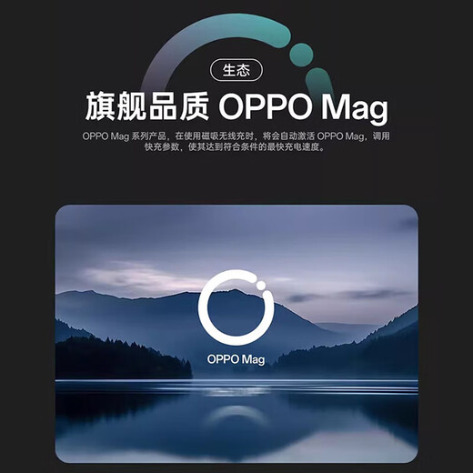 Opopooppo50W Absorbente de absorción magnética Original FindN5/X8/X8Pro Super Flash Cargando Pequeño cargador inalámbrico de turbina OppO50W Magnético Abandro inalámbrico [gris cuántico]