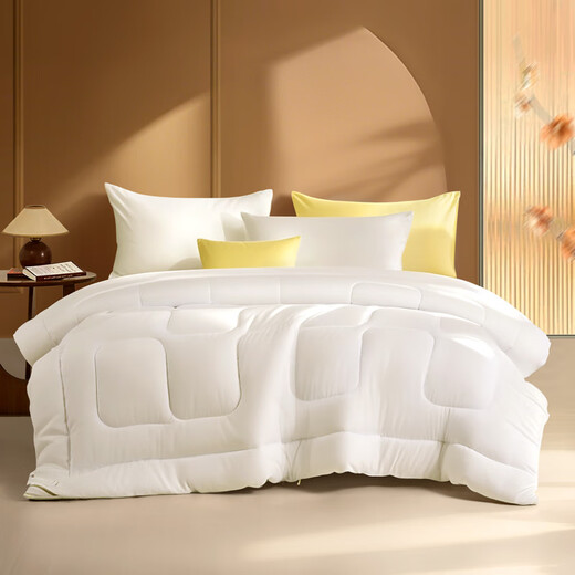 Fu'anna, supple fiber quilt winter quilt core, single winter thick quilt in student dormitory, about 4.2 Jin [Jin equals 0.5 kg] 152*210cm