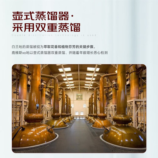 巴一戈尔法国进口洋酒 40°烈酒 XO白兰地 鹿维斯 700mL*2礼盒装