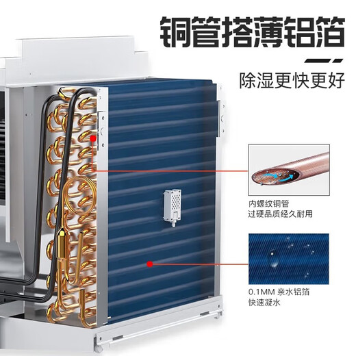 欧井（Eurgeen）501E除湿机/抽湿机 泵压向上排水 除湿量50升/天 家用别墅地下室轻音除湿器干燥去湿机吸湿器 138L/天 180㎡ 以上 工业商用/1381E