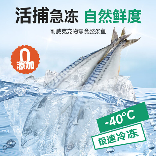 耐威克 猫条猫零食 湿粮猫罐头成幼猫蒸煮整条猫840g（70g*12条）