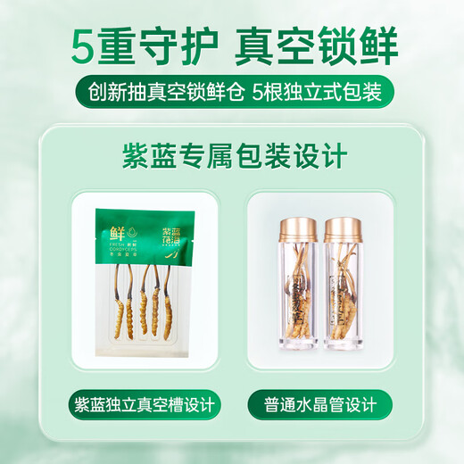 紫蓝花海新鲜冬虫夏草头茬鲜虫草自用送礼佳品礼盒装 0.7-0.8克/根 100根