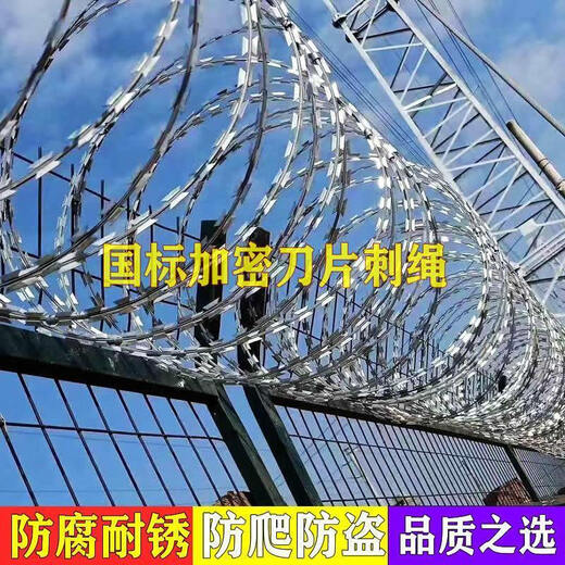 Blade barbed wire anti-theft thorn rolling cage anti-theft net wire iron barbed wire fence for climbing hot-dip galvanized ordinary double helix circle diameter 45cm-10 meters