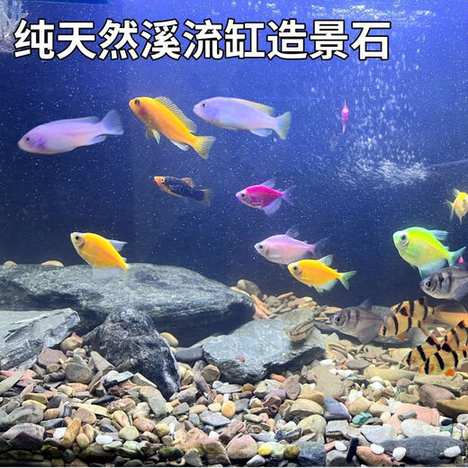 Stream stone ultra-fine bottom sand fish tank turtle tank bottom sand stream sand bottom stone fish tank landscaping stone native stone 3 to 5 cm 30-50 g