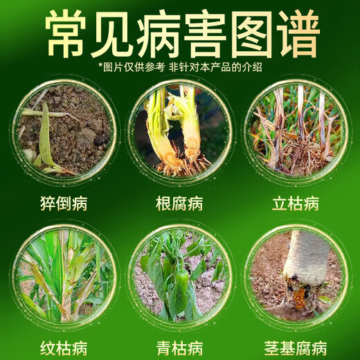 Hulian Plant Protection Shangmiaoqing 30% Metaloxamin Soil Fungicide Hymexyl Fruit and Vegetable Root Rot and Blight Pesticide Fungicide