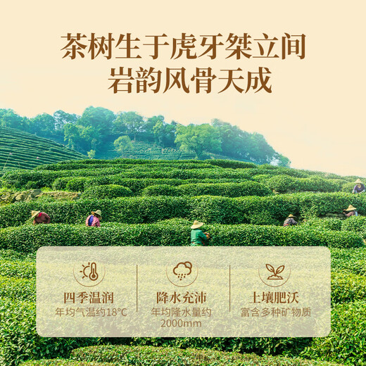 中茶茶叶礼盒乌龙茶大红袍岩骨花香乌龙茶礼盒 130g送礼