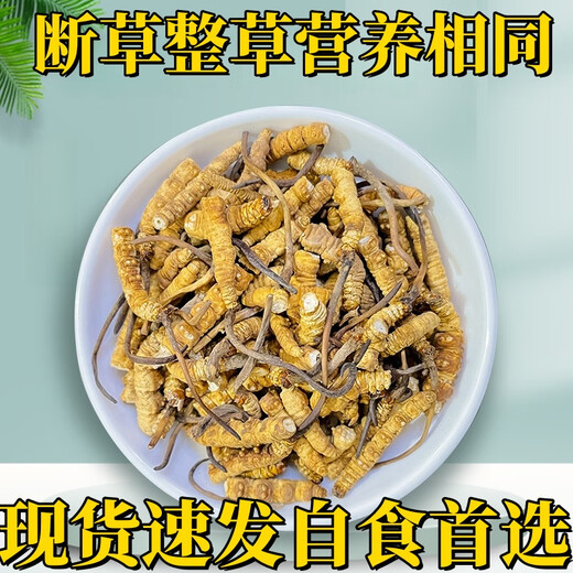 冬虫夏草断草正宗藏区头茬虫草家庭装自食首选10克送1克多买多送 藏区精品大断草买10克送1克