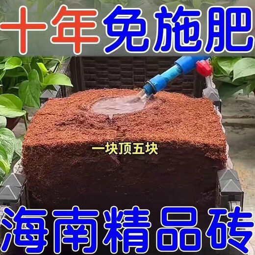 High foaming coconut brick nutritious soil compressed coconut bran desalination general soil for growing vegetables and flowers planting large pieces of coconut bran soil 20 coconut bricks high quality/high nutrition/high foaming