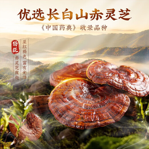 Beijing Tongrentang Broken Ganoderma Spore Powder Gift Box Huoshan Red Ganoderma Organic Spore Powder for Elders 200g Nourishing Gift Huo Four-label Certified Buy 2 Shots 3 Polysaccharides 3.6g Total Triterpenes 16.8g