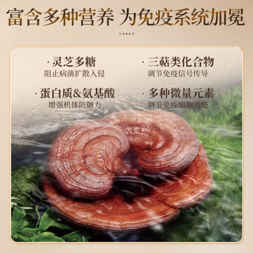 YEKE灵芝粉yeke孢子粉胶囊成年中老年恢复提高抵抗 一瓶装(体验装) 原味