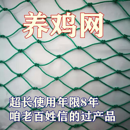 Chicken net, chicken net, fishing net, breeding net, fence net, nylon vegetable garden fence, climbing vine grid, chicken net, protective fish net, thickened 18 strands, 3 cm thickened ribs, 2 meters high and 100 meters long