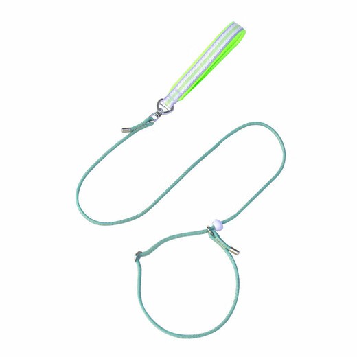 Pet Star Notes Pet P Chain 1.5 Meter Leash Small Dog Teddy Bichon Schnauzer Pomeranian Dog Leash Pink