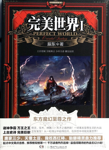 (微瑕) 完美世界1 辰东 著作 湖南少年儿童出版社 9787   89 695