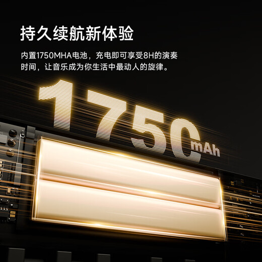 贝琪（Betsy） 电钢琴88键成人儿童便携折叠钢琴新手入门幼师学生初学电子钢琴 B175【经典款】-黑色 套餐三：标配+Z型琴架