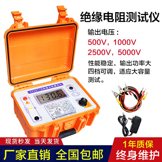 XMSJ10000V数字电子兆欧表绝缘电阻仪绝缘高精度摇表 D2677D (5000V)  含线 带吸收比