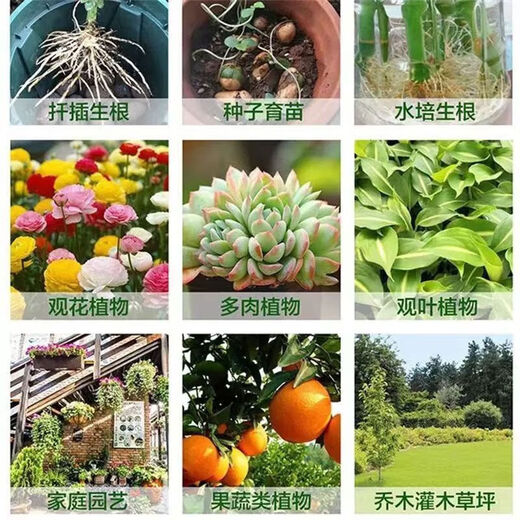 Powerful Rooting Powder Rapid Rooting and Seedling Strengthening Agent Rooting Powder Rapid Rooting Powerful Rooting Liquid Rooting Powder for Transplanting Rooting Powder 1Jin Jin is equal to 0.5kg, packed in 2 packs