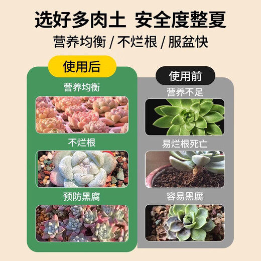 Captain Succulent Nutrient Soil Special Granular Soil for Planting Flowers and Potted Plants Universal Colored Stone Peat Flower Soil Paving Stone Adult Plant Soil 50% Granular Soil 5Jin Jin is equal to 0.5 kg