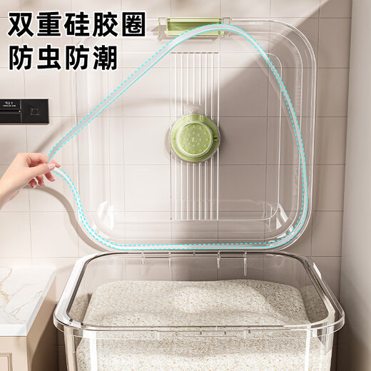 Bonnymeijia rice bucket household 2025 new food-grade rice cylinder flour storage tank insect-proof and moisture-proof sealed surface bucket grain storage bucket square translucent green 10Jin Jin equals 0.5kg and comes with a measuring cup