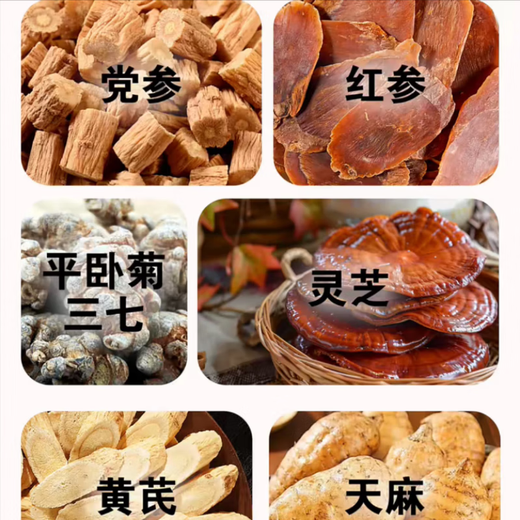 美恩元三参平卧菊三七灵芝片全新升级直播同款官方直营 1瓶装