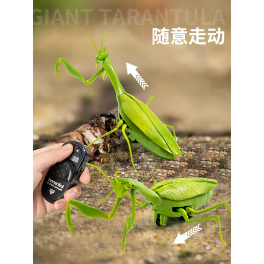 遥控螳螂电动仿真玩具抖音整蛊神器蟑螂男孩会动的蜘蛛爬行小动物 【经典版-遥控瓢虫】红色款9922+ 【升级版】另赠24粒电子