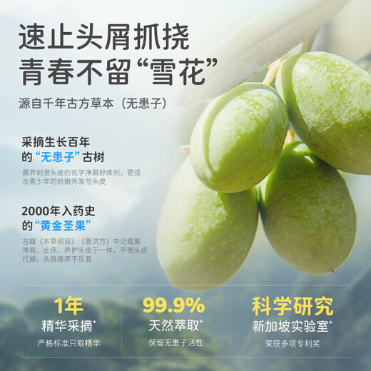 Masata Singapore imported youth shampoo oil control fluffy anti-dandruff anti-itch shampoo children adults men and women