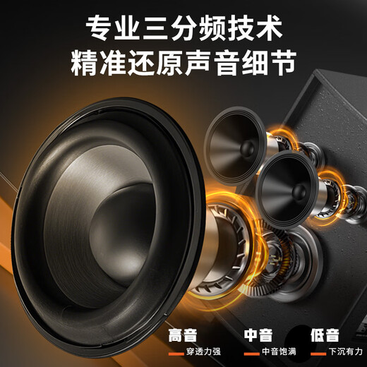 Sony Ericsson (soaiy) 8-inch square dance audio wooden high-power portable outdoor heavy bass Bluetooth karaoke special high-volume mobile trolley speaker outdoor performance dual microphone SA-X21