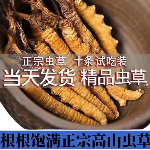 正宗虫草正品冬虫夏草3根/克50条礼盒虫草无断草高海拔送礼佳品 藏区3根/克（规格）60根礼盒装