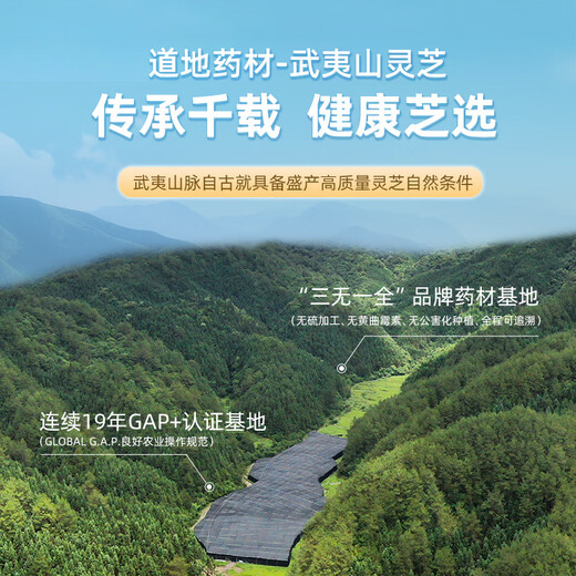 仙芝楼有机破壁灵芝孢子粉胶囊0.25g*80粒*9瓶/盒 增强免疫力 保健品