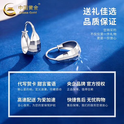 CHINA GOLD PT950 Platinum Square Earrings Women's Platinum Versatile Earrings Practical Valentine's Day Gift for Girlfriend's Birthday PT950 Platinum Square Earrings About 3.7g