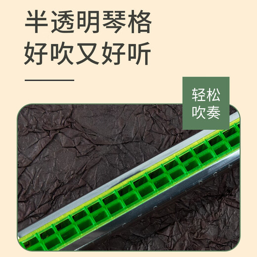 国光上海国光复音口琴纸盒国光口琴24孔口琴初学者C调口琴重音口琴 24孔重音C调口琴