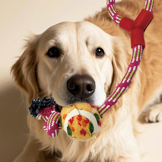 ZanChong Y-shaped cotton knotted tennis ball pink pet large puppy dog toy bite-resistant interactive training molar interactive supplies