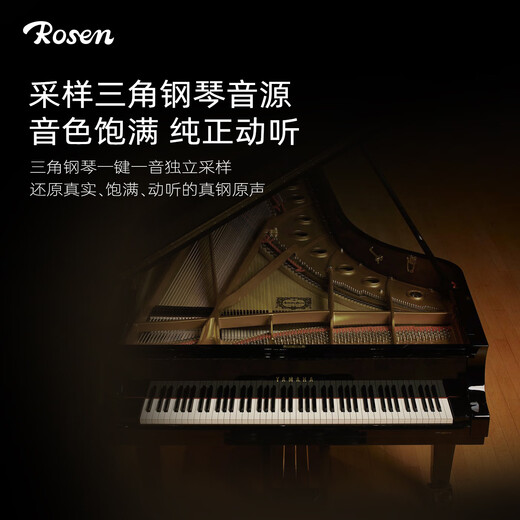 卢森（Rosen）P1电子琴成人88键儿童初学者入门折叠电钢琴乐器 P11星耀炫黑丨亮灯跟弹 套餐四：标配+Z型琴架+加厚琴包
