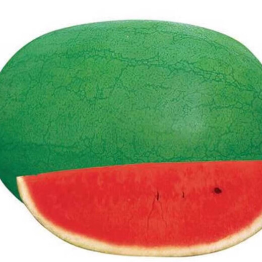 Xinhongbao watermelon seedlings, extra large, early-maturing, disease-resistant, green, extra large, sweet lazy watermelon seeds, giant watermelon seeds, A New Hongbao watermelon seeds, 5 packs