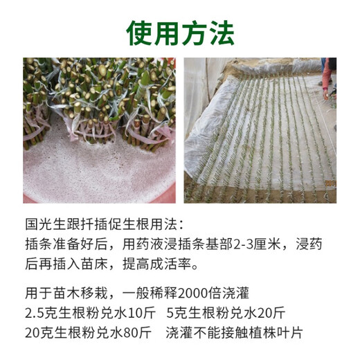 Guoguang Guoguang Rooting Powder Naphthalene Acetic Acid Rapidly Promotes Rooting of Seedlings Potted Cuttings and Transplants Explosive Regulating Growth Liquid 20g 5gx4 Bags