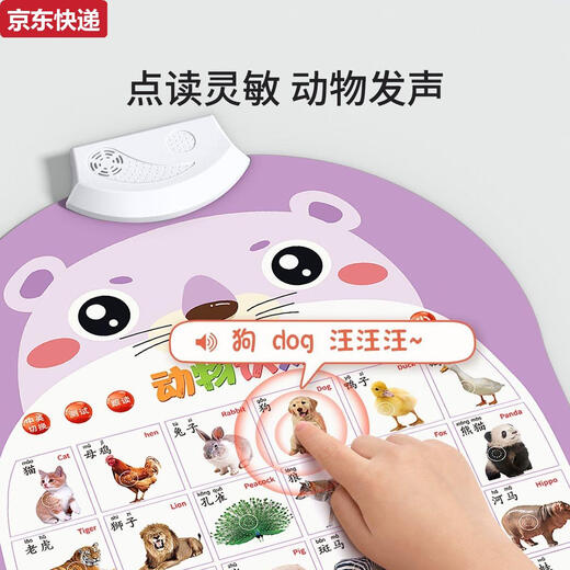 
CAOX Baby Audio Early Education Snapshot Enlightenment Baby Point Reading Voice Reading Book Wall Sticker Toys Children's Pinyin Alphabet Chinese Pinyin Battery + Hook + Screw