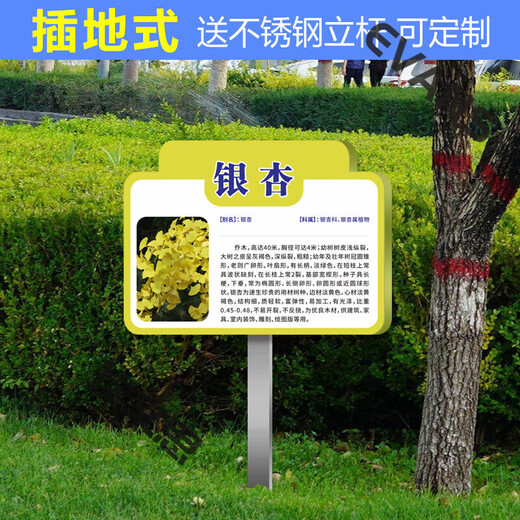 Ground type tree brand school park stainless steel plant greening information sign tree introduction sign care imitation CDSP-18 (surface covered with crystal + pole) 50x70cm