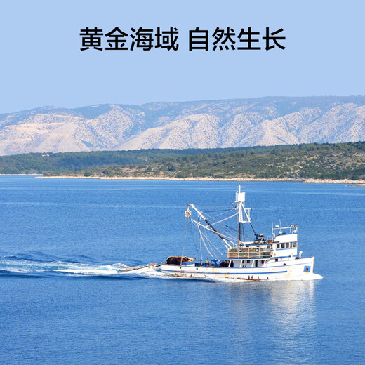 Made in Tokyo, Dalian frozen ready-to-eat sea cucumber 1000g 20-30 pieces, solid content greater than 70%, Liao sea cucumber gift box