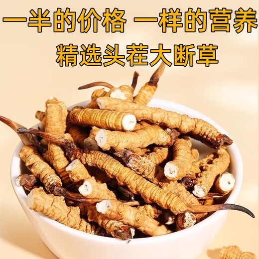 Cordyceps sinensis gebrochenes Gras Cordyceps hohe Höhe Cordyceps sinensis authentisch Cordycep