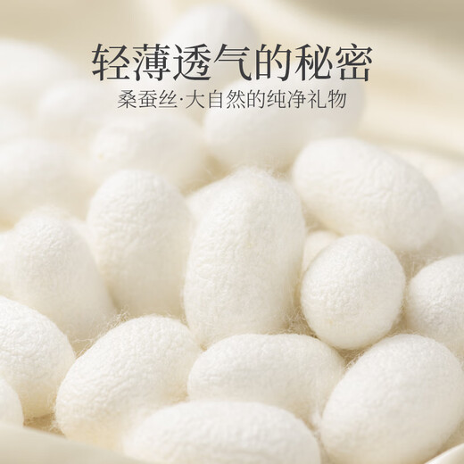 古今（GUJIN）5双装桑蚕丝袜子女士短袜网眼夏季薄款透气隐形袜夏天船袜女袜