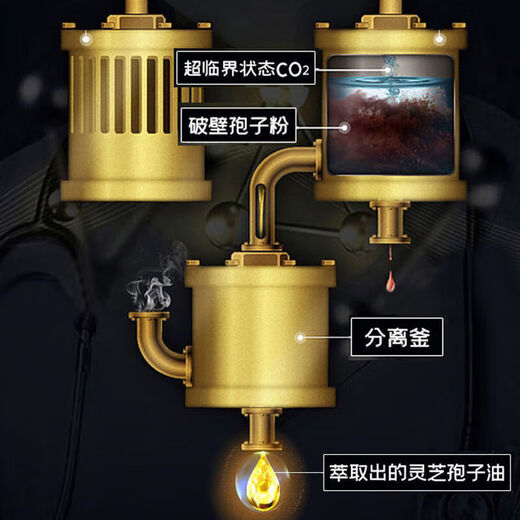 旭福（SCHIFF）美国品牌进口灵芝孢子油胶囊 成人品破壁灵芝孢子粉浓缩萃